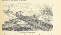Picture 160 of 388 from Shifts and Expedients of Camp Life, Travels, etc (1876), leaf 315
