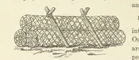 Picture 164 of 388 from Shifts and Expedients of Camp Life, Travels, etc (1876), leaf 320