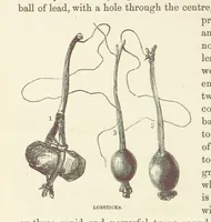 Picture 167 of 388 from Shifts and Expedients of Camp Life, Travels, etc (1876), leaf 324
