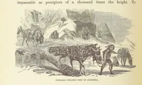 Picture 177 of 388 from Shifts and Expedients of Camp Life, Travels, etc (1876), leaf 334