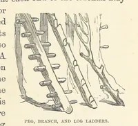 Picture 180 of 388 from Shifts and Expedients of Camp Life, Travels, etc (1876), leaf 337
