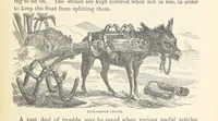 Picture 212 of 388 from Shifts and Expedients of Camp Life, Travels, etc (1876), leaf 375