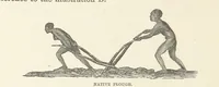 Picture 217 of 388 from Shifts and Expedients of Camp Life, Travels, etc (1876), leaf 378