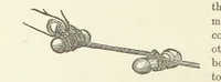 Picture 225 of 388 from Shifts and Expedients of Camp Life, Travels, etc (1876), leaf 382