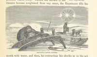 Picture 228 of 388 from Shifts and Expedients of Camp Life, Travels, etc (1876), leaf 385