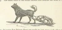 Picture 234 of 388 from Shifts and Expedients of Camp Life, Travels, etc (1876), leaf 392