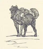 Picture 235 of 388 from Shifts and Expedients of Camp Life, Travels, etc (1876), leaf 393