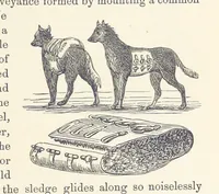 Picture 236 of 388 from Shifts and Expedients of Camp Life, Travels, etc (1876), leaf 393