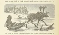 Picture 237 of 388 from Shifts and Expedients of Camp Life, Travels, etc (1876), leaf 394