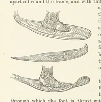 Picture 239 of 388 from Shifts and Expedients of Camp Life, Travels, etc (1876), leaf 396