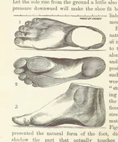 Picture 244 of 388 from Shifts and Expedients of Camp Life, Travels, etc (1876), leaf 404