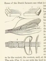 Picture 247 of 388 from Shifts and Expedients of Camp Life, Travels, etc (1876), leaf 408