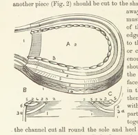 Picture 248 of 388 from Shifts and Expedients of Camp Life, Travels, etc (1876), leaf 408