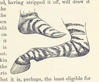 Picture 250 of 388 from Shifts and Expedients of Camp Life, Travels, etc (1876), leaf 411