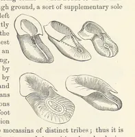 Picture 251 of 388 from Shifts and Expedients of Camp Life, Travels, etc (1876), leaf 411