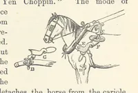 Picture 261 of 388 from Shifts and Expedients of Camp Life, Travels, etc (1876), leaf 427