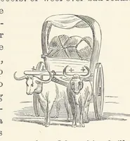 Picture 268 of 388 from Shifts and Expedients of Camp Life, Travels, etc (1876), leaf 439