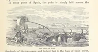 Picture 269 of 388 from Shifts and Expedients of Camp Life, Travels, etc (1876), leaf 439