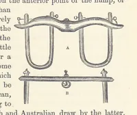 Picture 271 of 388 from Shifts and Expedients of Camp Life, Travels, etc (1876), leaf 441