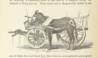 Picture 273 of 388 from Shifts and Expedients of Camp Life, Travels, etc (1876), leaf 444