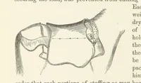 Picture 277 of 388 from Shifts and Expedients of Camp Life, Travels, etc (1876), leaf 448