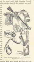Picture 10 of 388 from Shifts and Expedients of Camp Life, Travels, etc (1876), leaf 45