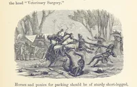 Picture 284 of 388 from Shifts and Expedients of Camp Life, Travels, etc (1876), leaf 459
