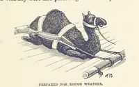 Picture 286 of 388 from Shifts and Expedients of Camp Life, Travels, etc (1876), leaf 467