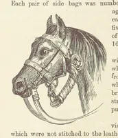 Picture 12 of 388 from Shifts and Expedients of Camp Life, Travels, etc (1876), leaf 48