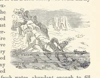 Picture 293 of 388 from Shifts and Expedients of Camp Life, Travels, etc (1876), leaf 483
