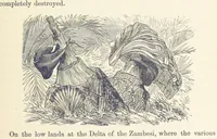 Picture 303 of 388 from Shifts and Expedients of Camp Life, Travels, etc (1876), leaf 499