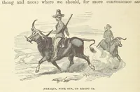 Picture 14 of 388 from Shifts and Expedients of Camp Life, Travels, etc (1876), leaf 50