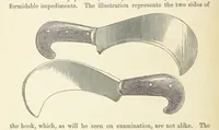 Picture 16 of 388 from Shifts and Expedients of Camp Life, Travels, etc (1876), leaf 52