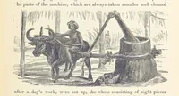 Picture 309 of 388 from Shifts and Expedients of Camp Life, Travels, etc (1876), leaf 523