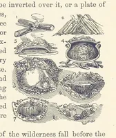 Picture 311 of 388 from Shifts and Expedients of Camp Life, Travels, etc (1876), leaf 527