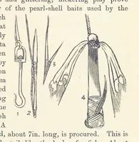 Picture 315 of 388 from Shifts and Expedients of Camp Life, Travels, etc (1876), leaf 557