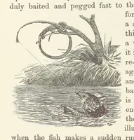 An illustration from Shifts and Expedients of Camp Life, Travels, etc (1876)