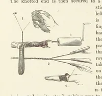 Picture 323 of 388 from Shifts and Expedients of Camp Life, Travels, etc (1876), leaf 568