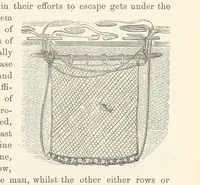 Picture 326 of 388 from Shifts and Expedients of Camp Life, Travels, etc (1876), leaf 571