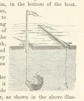 Picture 327 of 388 from Shifts and Expedients of Camp Life, Travels, etc (1876), leaf 571