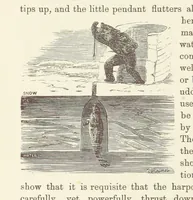 Picture 328 of 388 from Shifts and Expedients of Camp Life, Travels, etc (1876), leaf 572