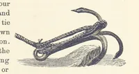 Picture 329 of 388 from Shifts and Expedients of Camp Life, Travels, etc (1876), leaf 573