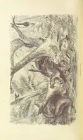 Picture 331 of 388 from Shifts and Expedients of Camp Life, Travels, etc (1876), leaf 582