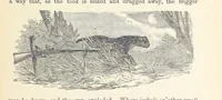 Picture 335 of 388 from Shifts and Expedients of Camp Life, Travels, etc (1876), leaf 617