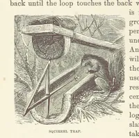Picture 340 of 388 from Shifts and Expedients of Camp Life, Travels, etc (1876), leaf 624