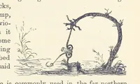 Picture 342 of 388 from Shifts and Expedients of Camp Life, Travels, etc (1876), leaf 625