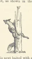Picture 343 of 388 from Shifts and Expedients of Camp Life, Travels, etc (1876), leaf 625