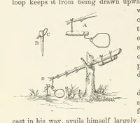 Picture 344 of 388 from Shifts and Expedients of Camp Life, Travels, etc (1876), leaf 626