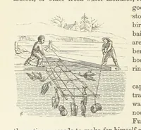 Picture 352 of 388 from Shifts and Expedients of Camp Life, Travels, etc (1876), leaf 638