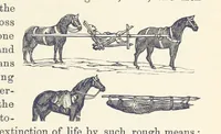 Picture 355 of 388 from Shifts and Expedients of Camp Life, Travels, etc (1876), leaf 647